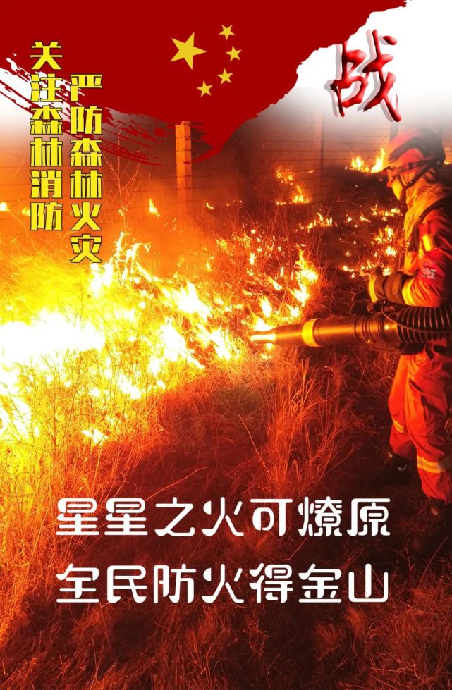 海报丨关注森林防火,严防森林火灾