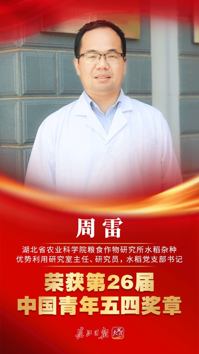 周雷:从农村走出的博士,再回田地种出"国宝桥米"