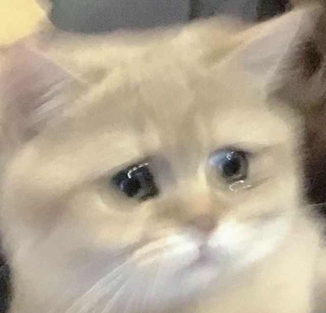 流泪猫猫头表情包乌乌