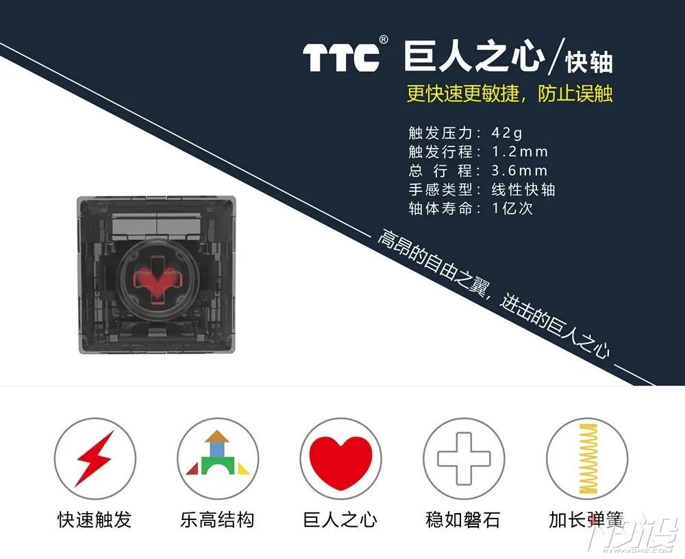 Ttc Joins Forces With The 100thieves Club To Release The Giant S Heart Mechanical Axis Laitimes