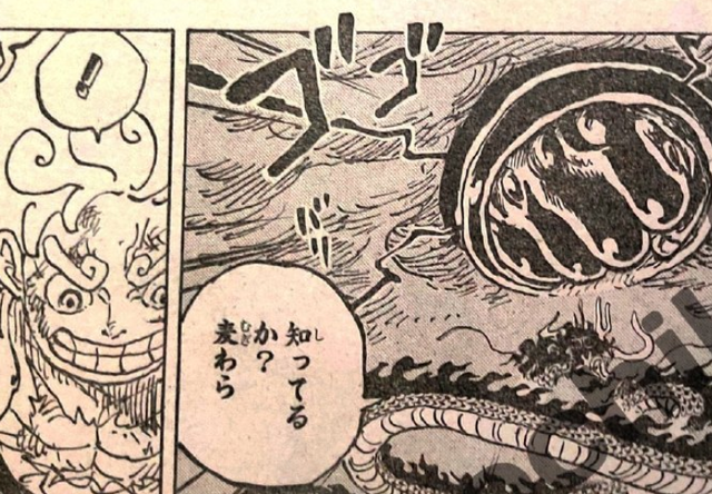 One Piece 1048 Luffy Shows Signs Of Victory And The World Government And Blackbeard Are Out Of The Nest Laitimes