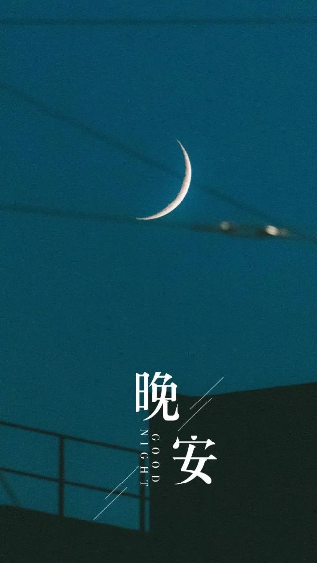 无所求必满载而归.