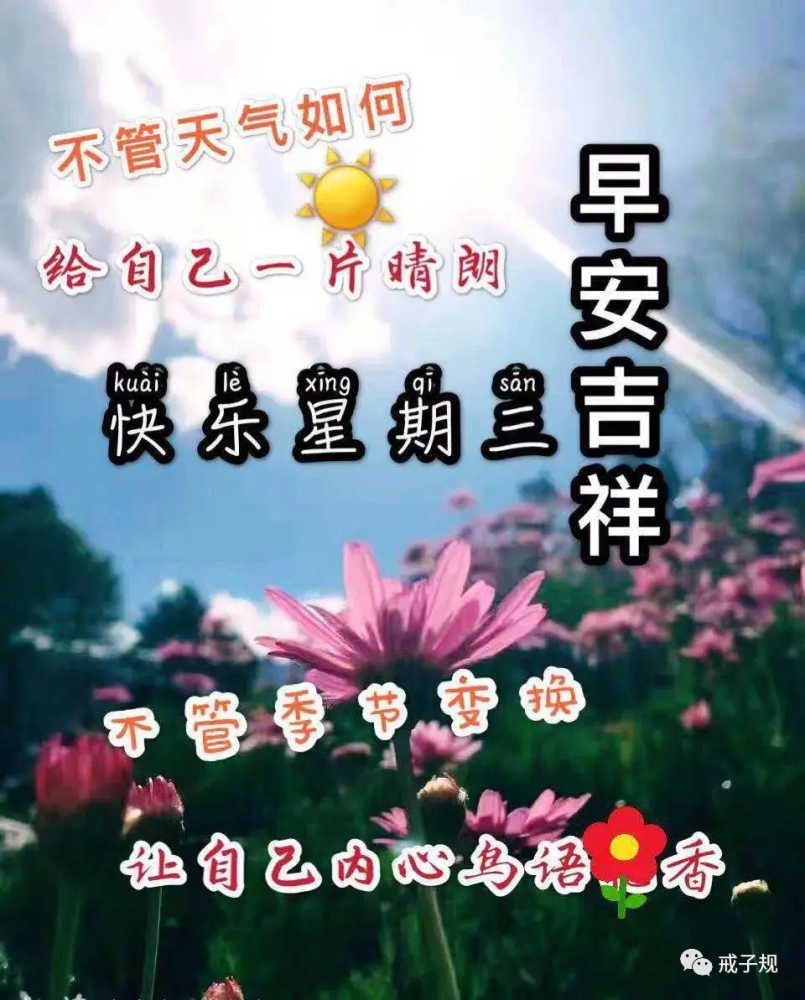 2022年5月4日早上好溫馨祝福語週三問候朋友早安帶字圖片大全