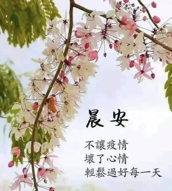 週三早安,疫情期間美好祝願祝福圖文精選,願疫情早日平息,你我及家人