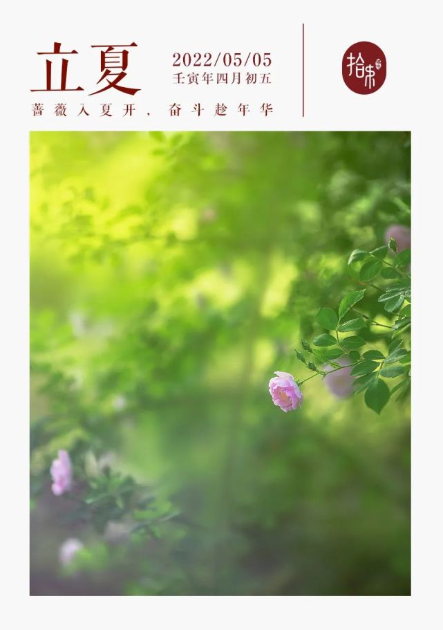 明日立夏知否知否应是绿肥红瘦