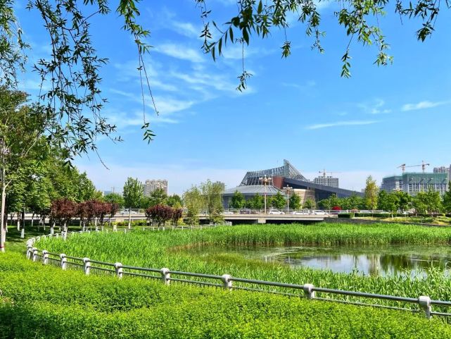 保定,青春友好一座城,省委书记为你加油!