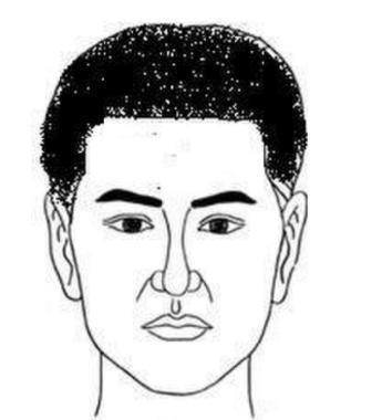 角额:富于现实性这种人的发际和额头形成三角形,给人一种男人阳刚的