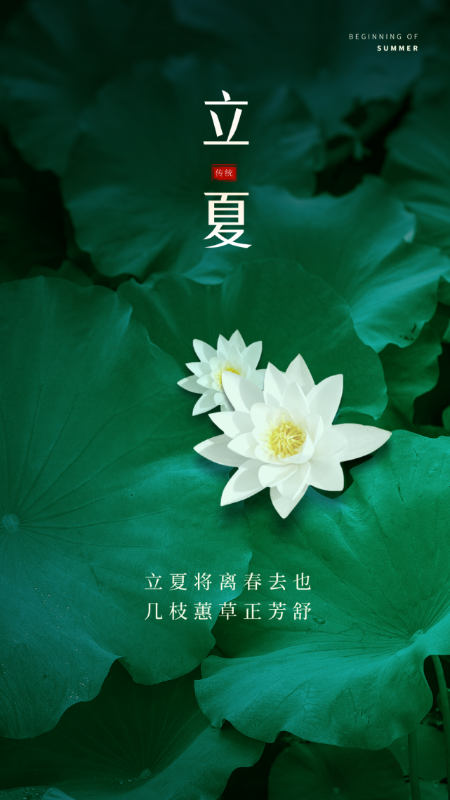 立夏时节发朋友圈最棒的一句话