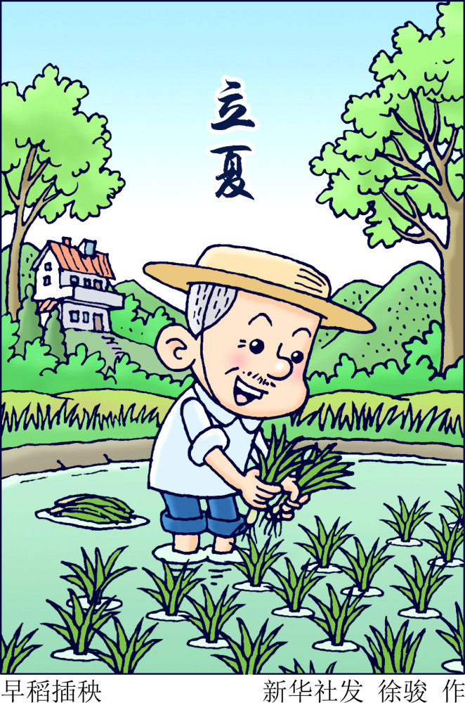 图表漫画二十四节气立夏早稻插秧
