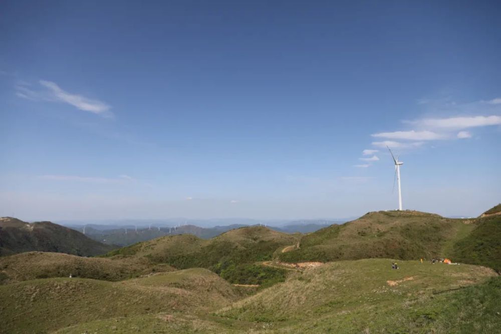 台江县万亩草场五一旅游吸粉聚人气