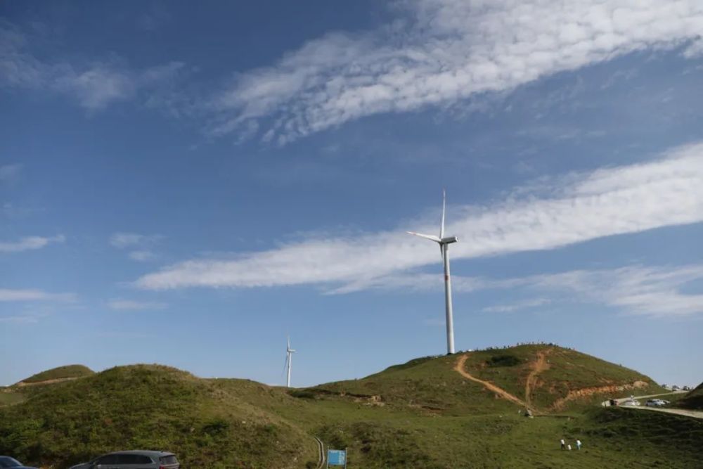 台江县万亩草场五一旅游吸粉聚人气