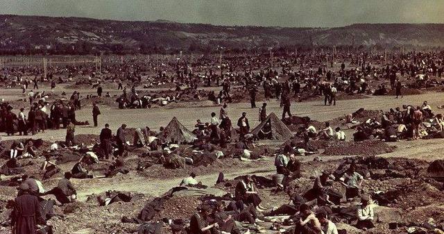 美军莱茵大营惨剧是怎么回事百万战俘人间蒸发至今死无对证