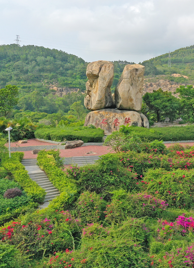 阳东这条渔家风情旅游线路,你去过吗?_腾讯新闻