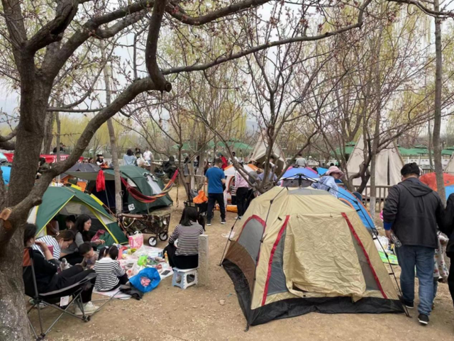 双面露营：爱好者的乌托邦，投机者的发财梦小学1一6音乐课本目录歌词先行词是物的定语从句例句