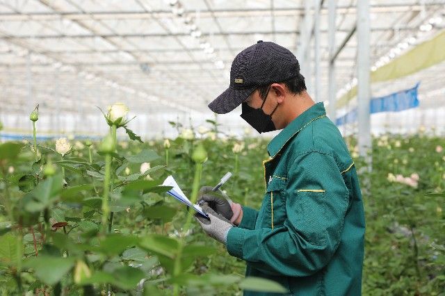 "90后护花使者"在黄土高原绽放"青春之花"