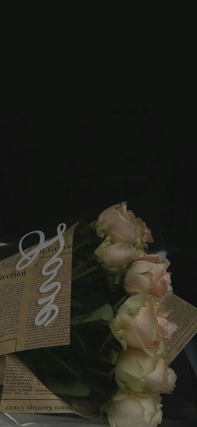 冷淡风壁纸丨偶尔抬头却被风迷了眼.