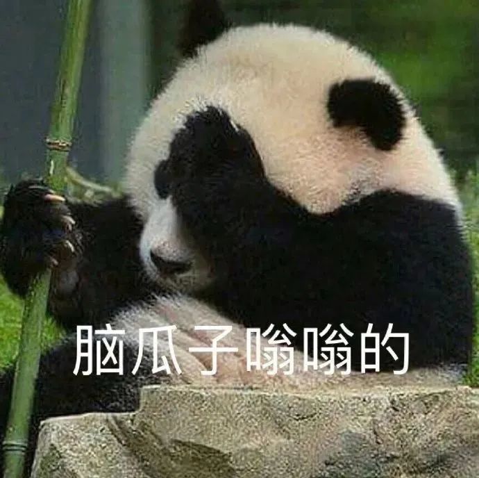 一组可爱绝绝子表情包