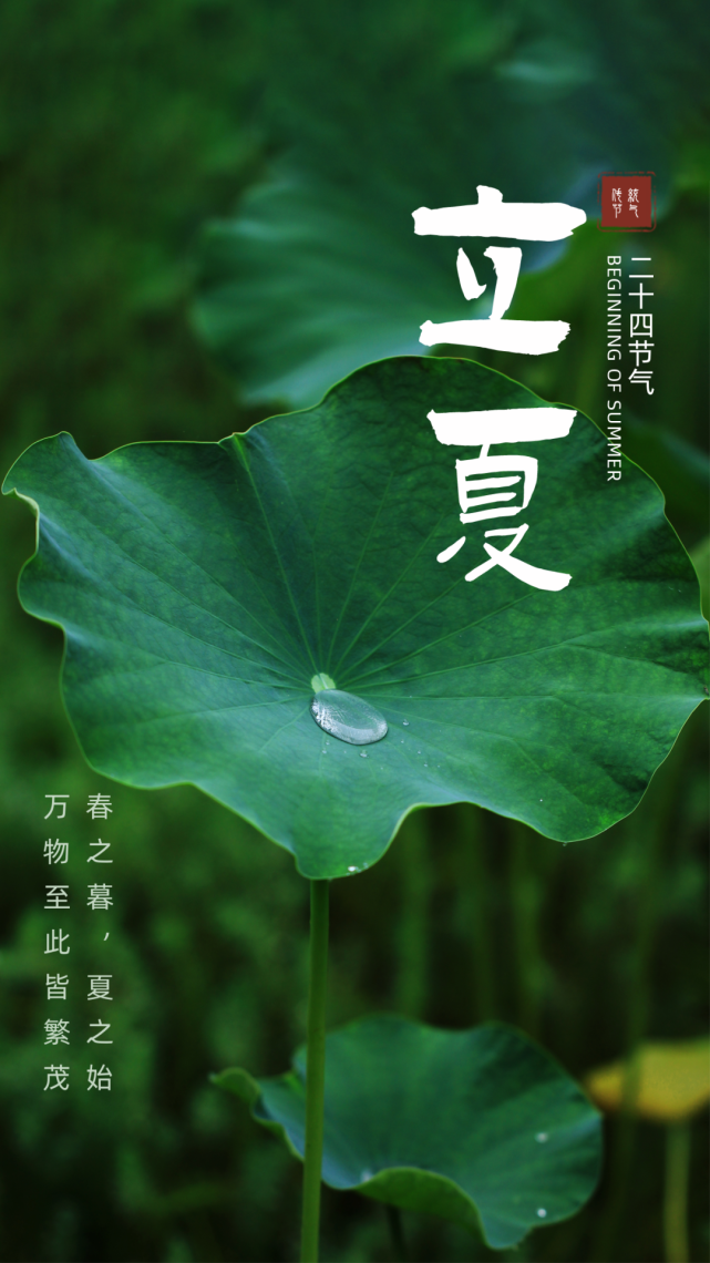 今日2022年5月5日农历四月初五正式进入立夏节气.