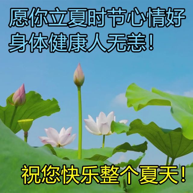 2022最美的立夏祝福语图片 立夏早上好问候祝福图片