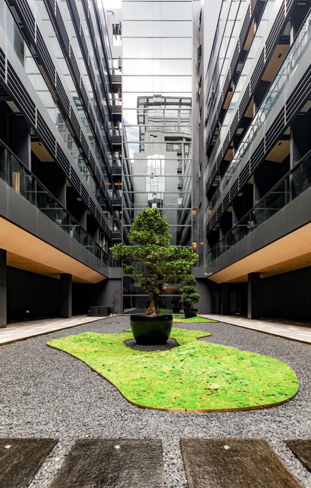 城脉控股打造首个长租公寓品牌halohome落址都市中心福田梅林