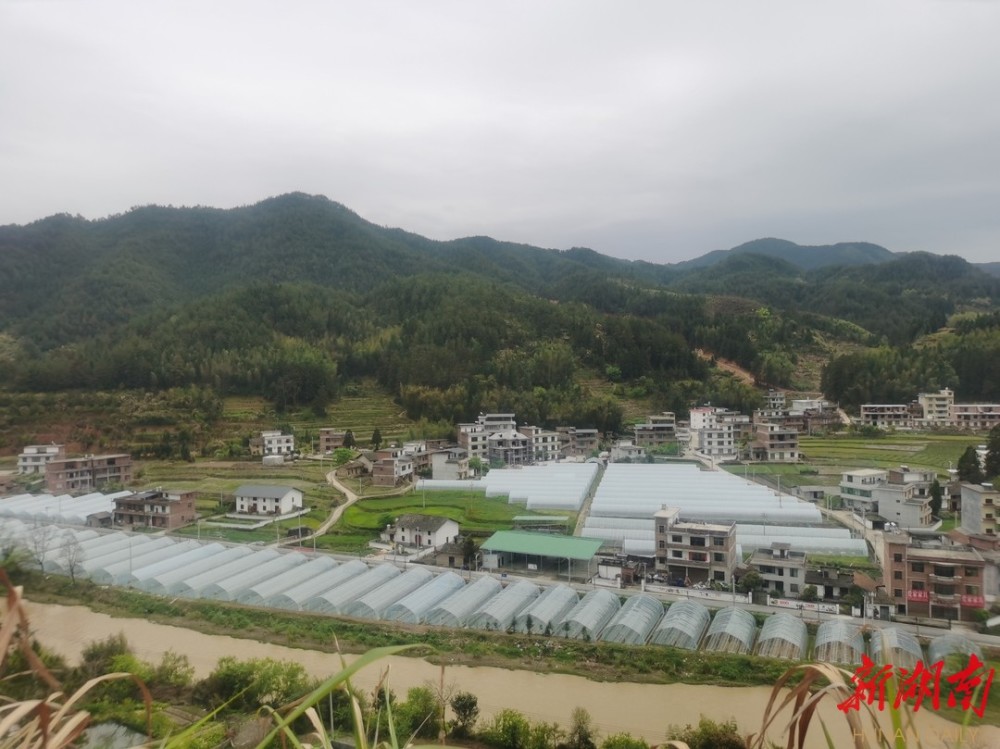 湖南客户端 5月5日讯(通讯员 李鸿光 钟丽容)5月5日早晨,桂东县寨前