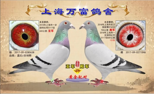 【资讯】2022年天津开创者决赛冠军:出自上海名家韩万富"黄金配对"