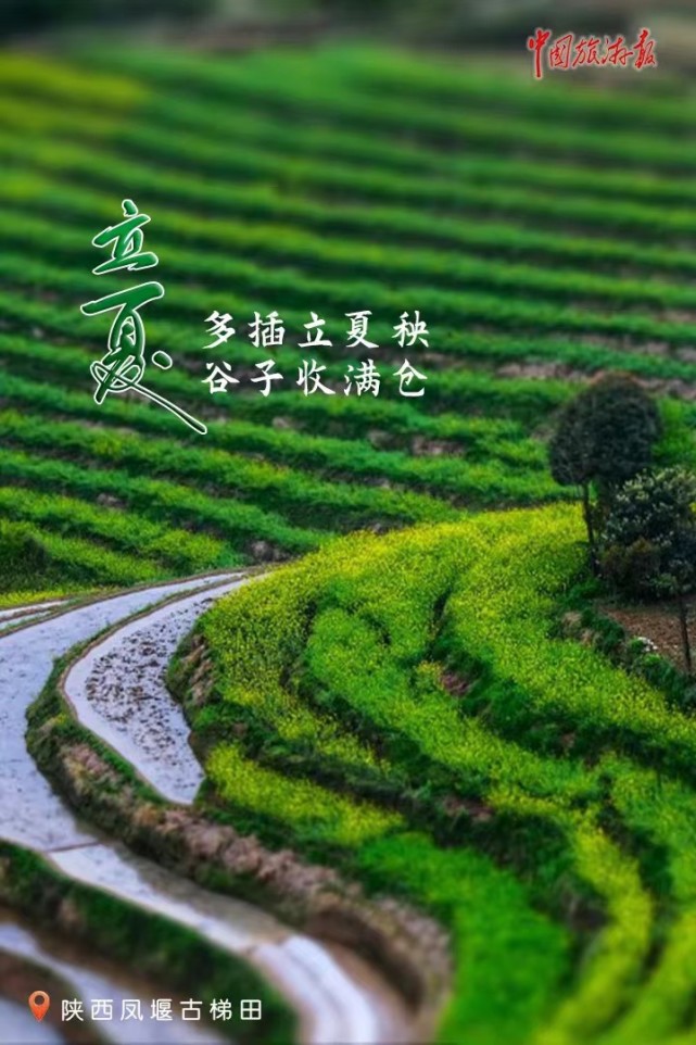 立夏丨夏日的缤纷色彩藏在风景里