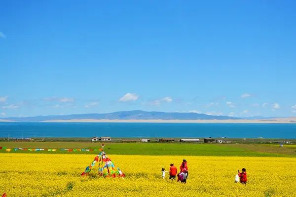 夏季熱門旅遊景點之青海湖旅遊攻略 低音號免費語音導遊