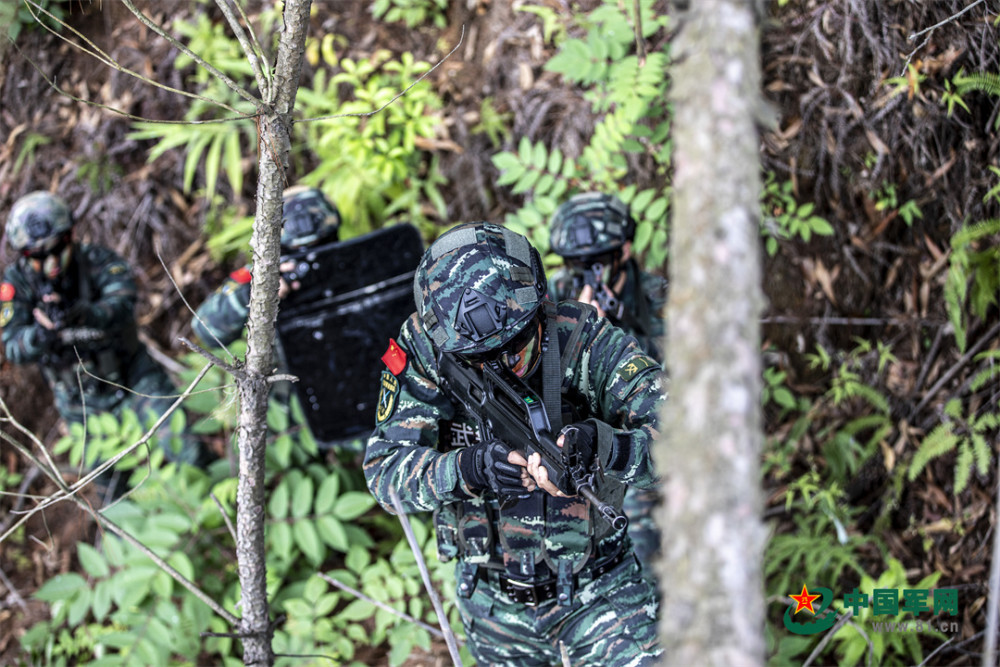 利刃出击！广西梧州武警特战队员开展山林地反恐演练