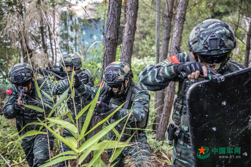 利刃出击！广西梧州武警特战队员开展山林地反恐演练