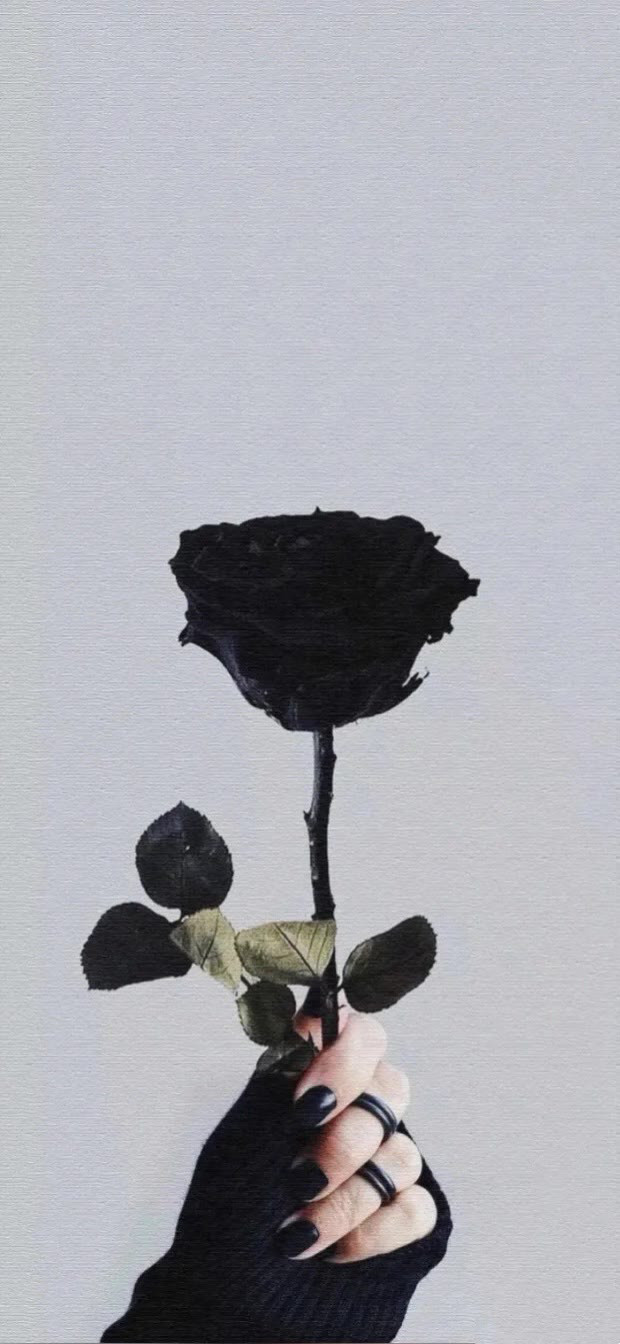 每日壁纸|暗黑系壁纸|手机全屏高清壁纸