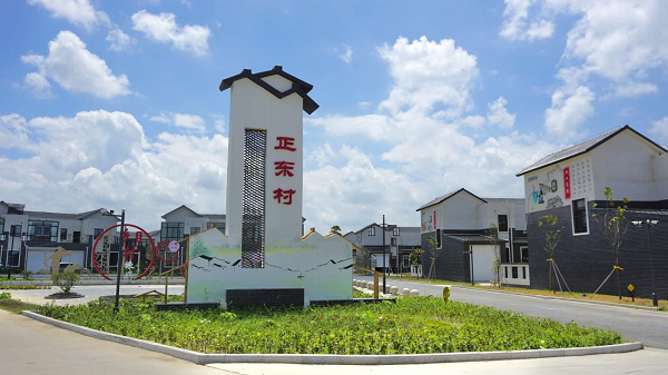 盐城亭湖南洋镇绘就乡村振兴画卷
