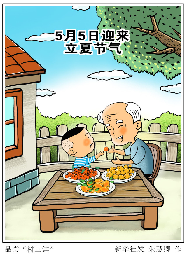 (图表·漫画)【二十四节气·立夏】品尝"树三鲜"