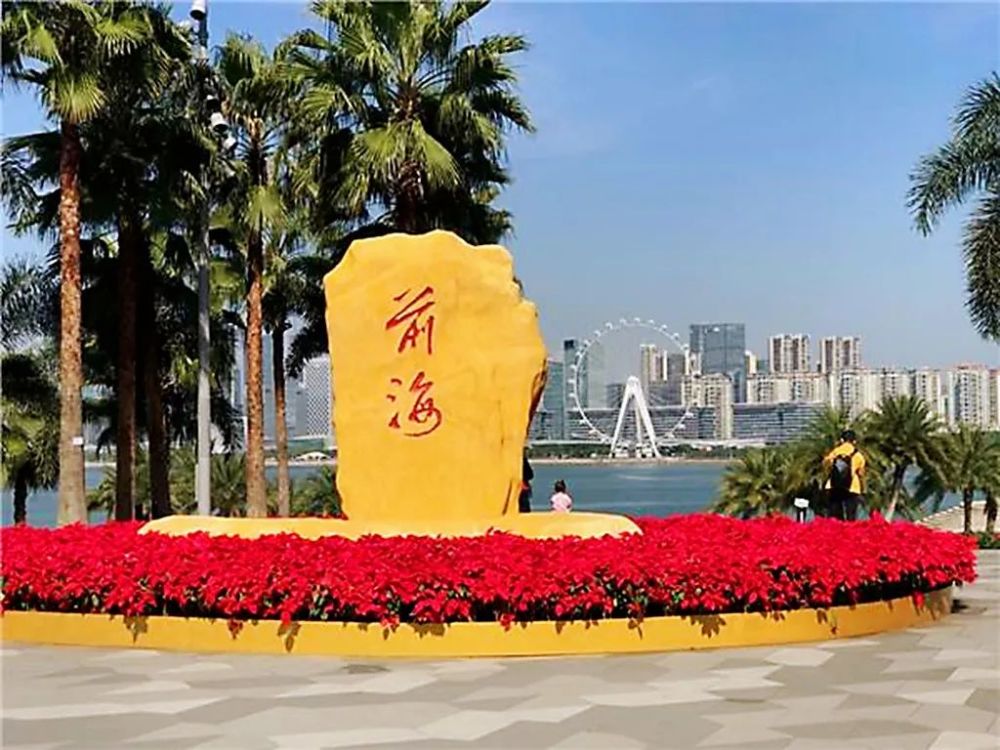 深圳周末游玩好去处不仅人少景美还可遛娃赏花下海捡贝壳挖青口挖蟹采