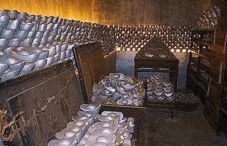 清宣宗得知国库亏空八成大发雷霆,却因牵涉过多只能罚款了事