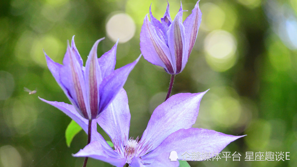 5月6日星座运势 水到渠成 蓄势待发的四大星座 天天看点