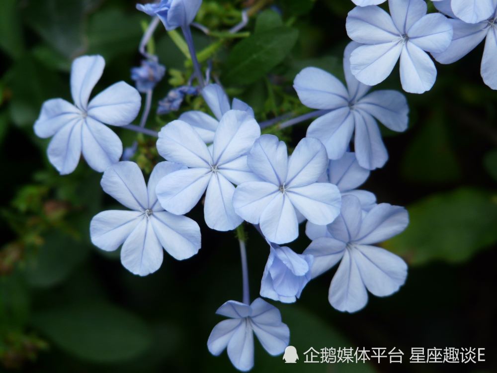 5月6日 12日愛情運勢 良緣相伴 真愛缱绻的四大星座 天天看點