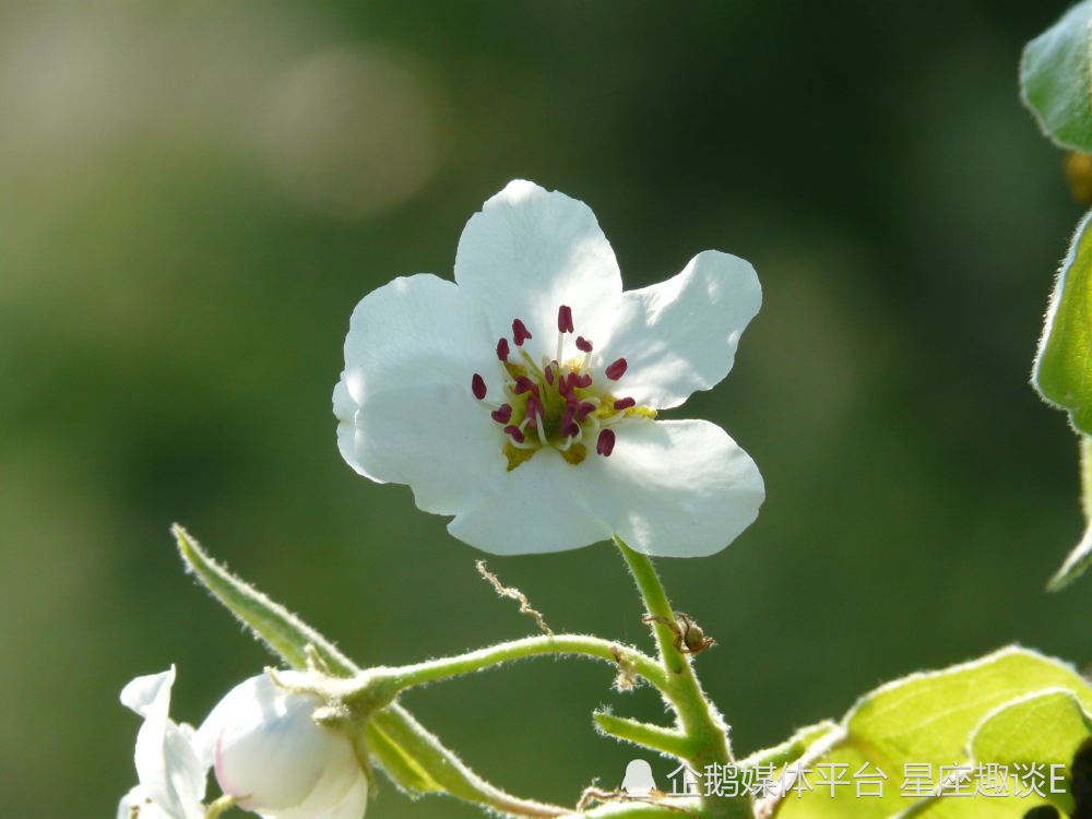 5月6日 12日星座运势 志趣相投 全力以赴的四大星座 天天看点