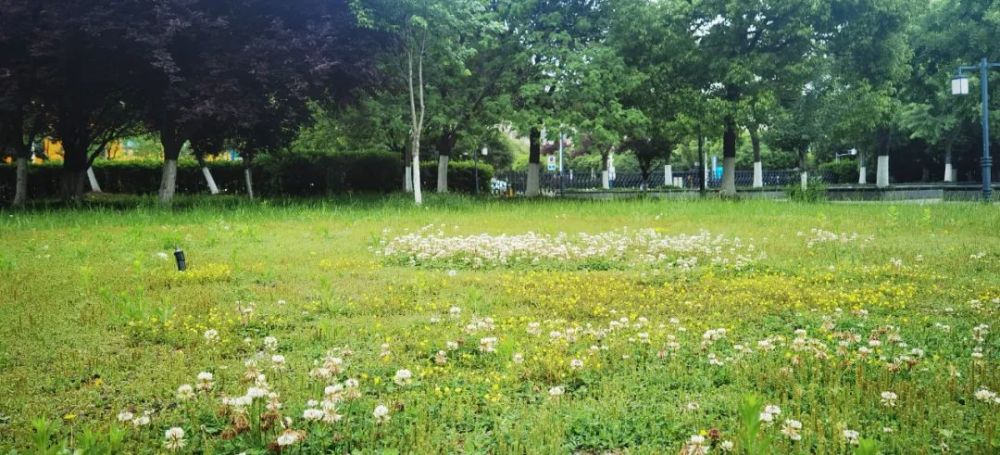 二十四节气 今日立夏风光燠 天天看点