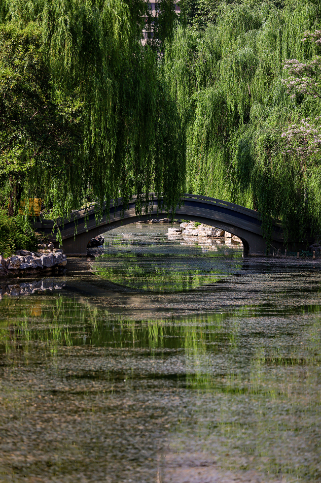 立夏,带你"云"瞰郑州绿荫繁茂