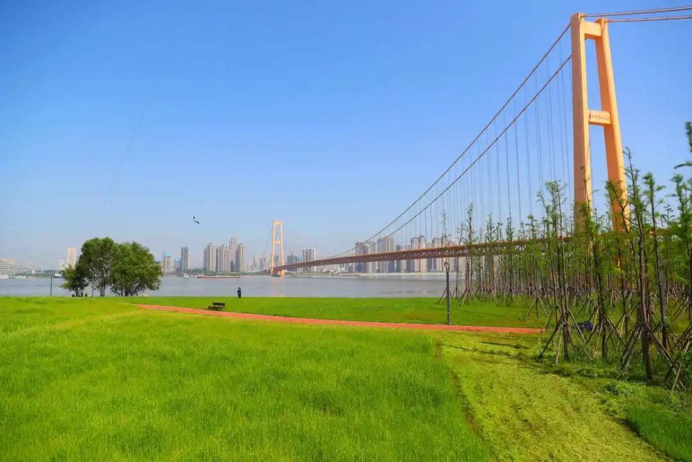 推进长江大保护洪山区管干部来洪山白沙洲江滩研学