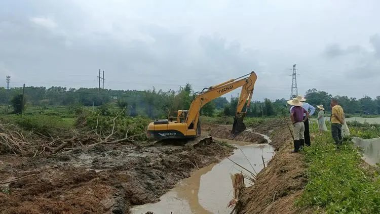 出動挖掘機6臺博白這個地方的河道被清理乾淨了