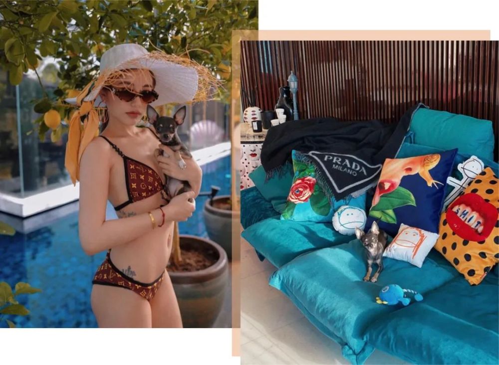 裴珠泫為耍大牌道歉：對于自己不足的言行感到非常慚愧小學教材全練五年級語文上冊答案