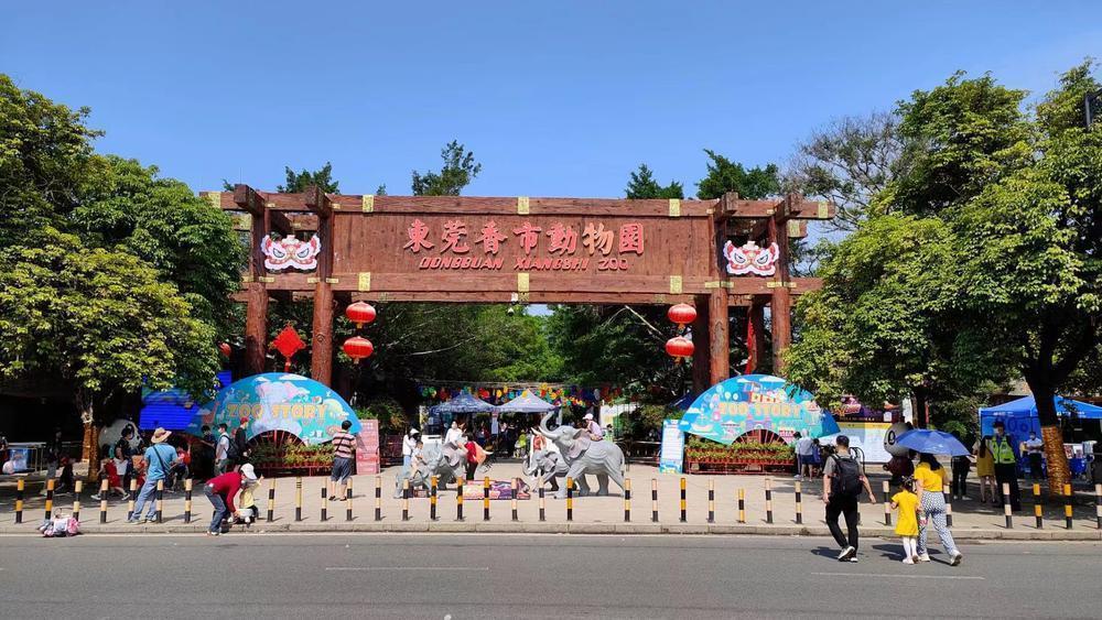 看飞车赏动物五一假期东莞近2万市民走进动物园