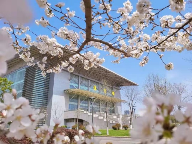 南京信息工程大学是211吗?"双一流"才是王道!