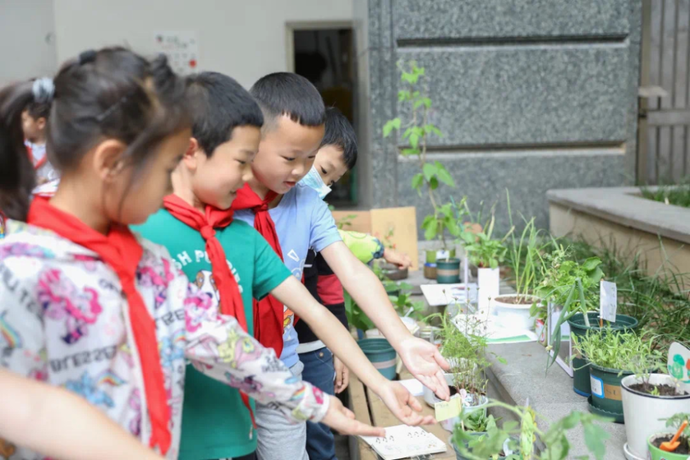 9月起中小学生要学煮饭 种菜 修家电来听家长怎么说 腾讯新闻