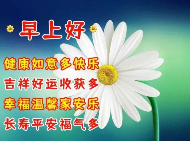 早上好,我的祝福,有早有迟,不变的是真诚始终如一