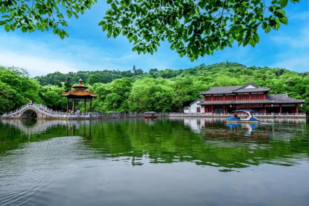 醉美滁州▍滁州夏景美如画