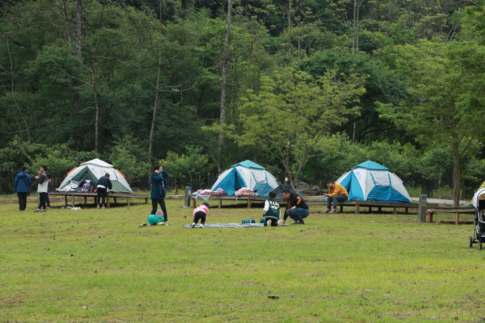 荔波茂兰露营基地图片