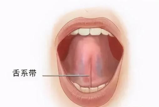 舌腹部正常图片图片